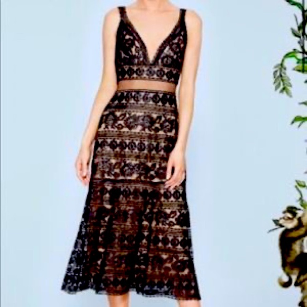 Tadashi Shoji “Leigh” Tea-Length dress
